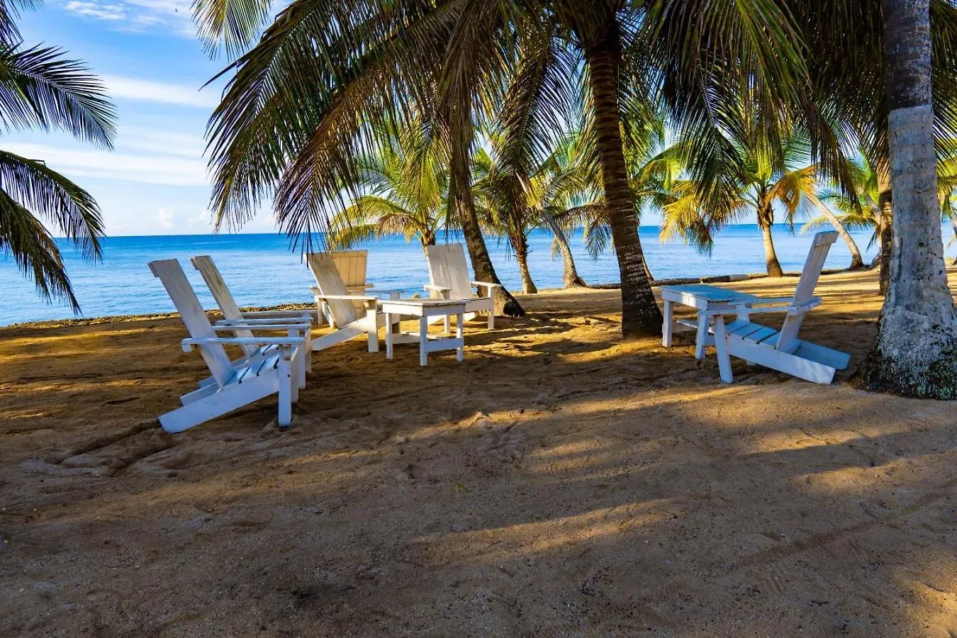 Oceanparadise To You Albatro L Y Ll Juan Dolio 0*,