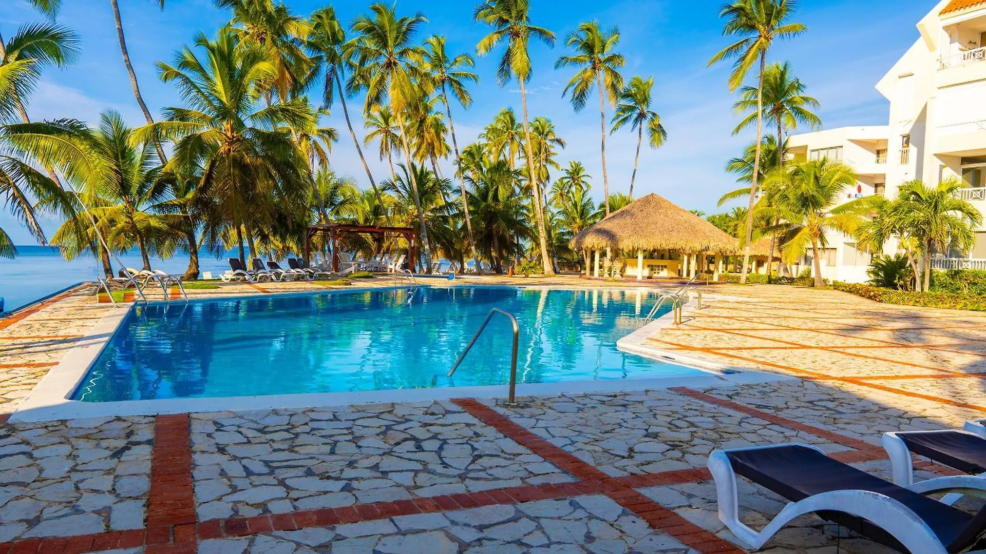 Oceanparadise To You Albatro L Y Ll Juan Dolio Apartahotel
