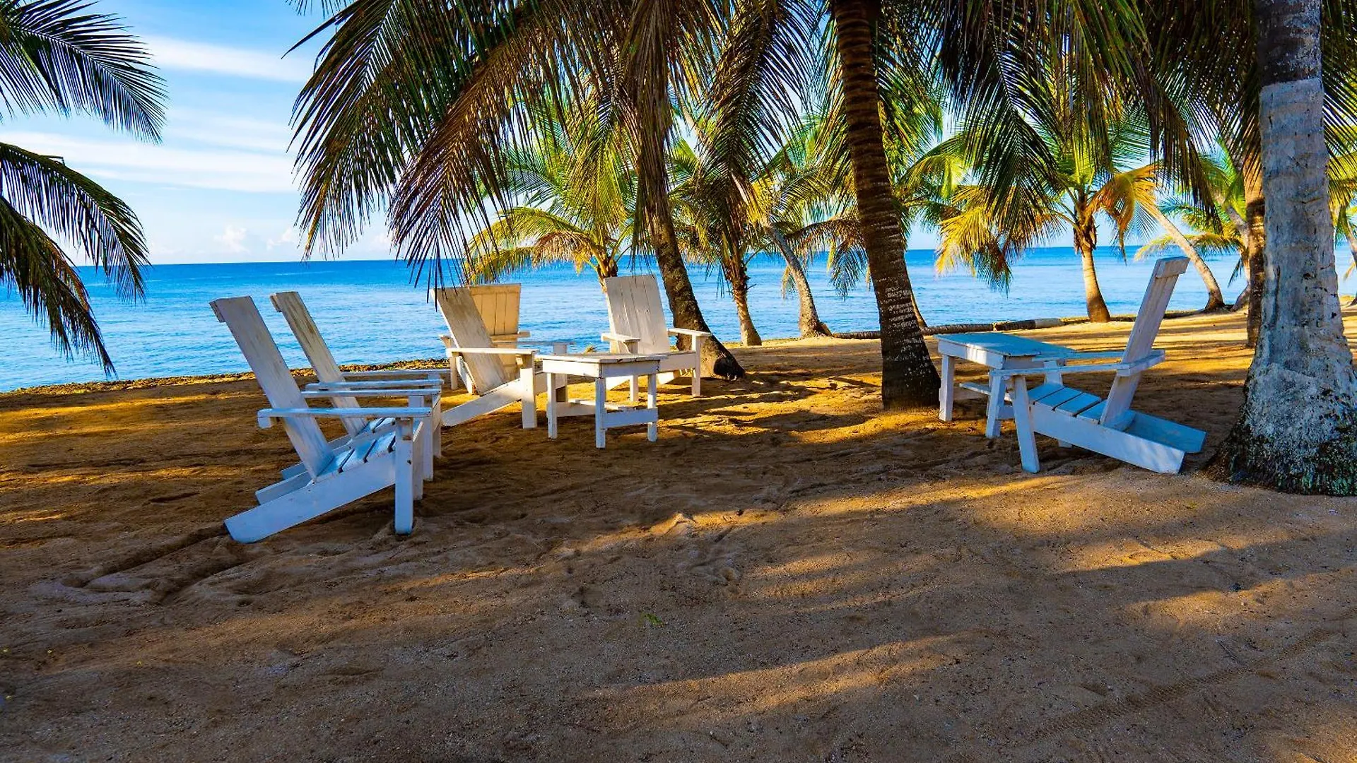 Oceanparadise To You Albatro L Y Ll Juan Dolio 0*,
